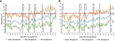 Dissecting the effect of heat stress on durum wheat under field conditions